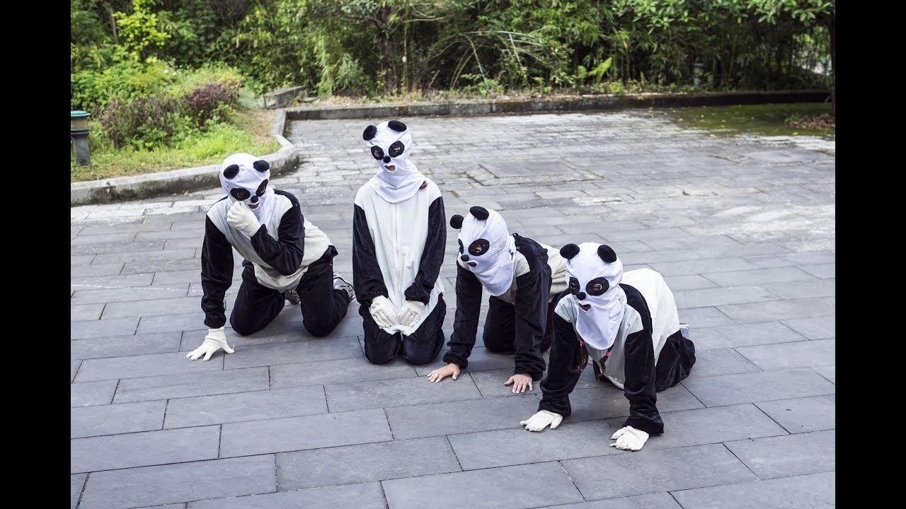 В Японии панд заменили сотрудниками-имитаторами