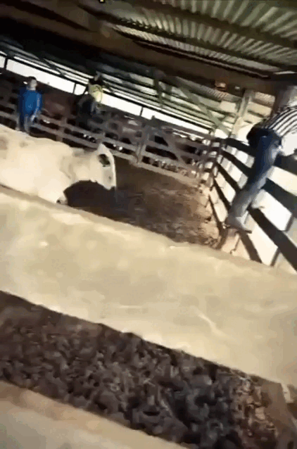 Просто гифки, всякие и&nbsp;разные