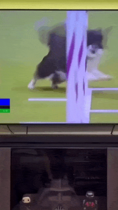 Просто гифки, всякие и&nbsp;разные