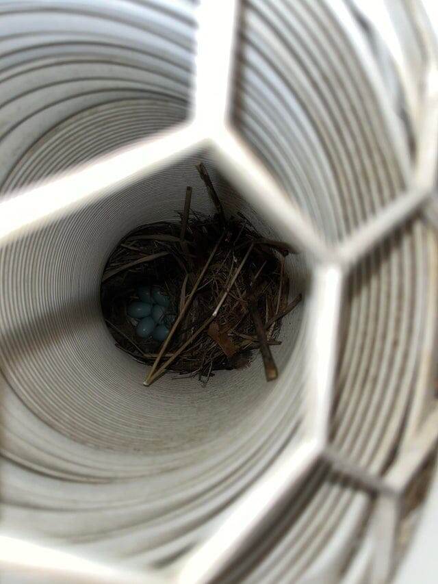 Пошёл включить кондиционер впервые после зимы