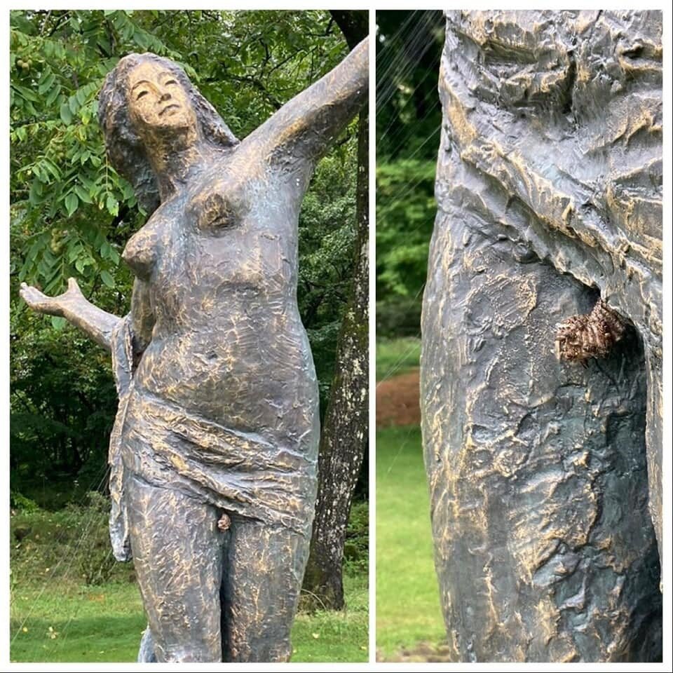 Осы нашли идеальное место для гнезда