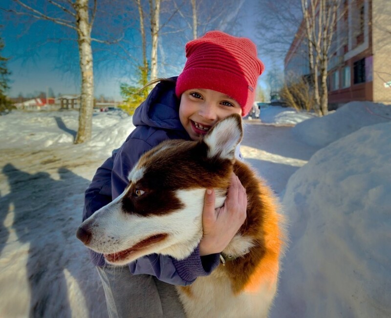 Мой ласковый друг. Кузьмин В.К.