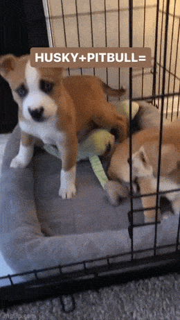 Просто гифки, всякие и&nbsp;разные