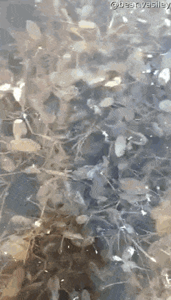 Просто гифки, всякие и&nbsp;разные