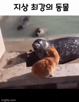 Просто гифки, всякие и&nbsp;разные