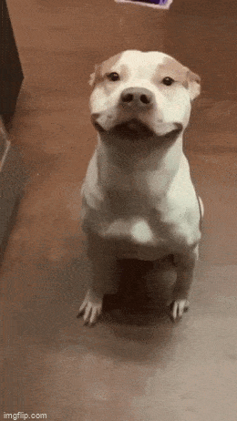 Просто гифки, всякие и&nbsp;разные