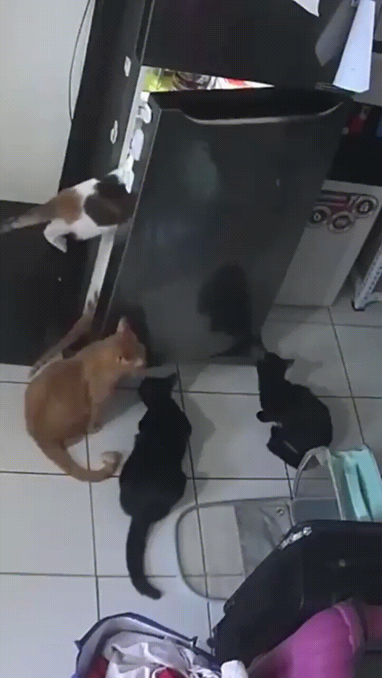 Просто гифки, всякие и&nbsp;разные