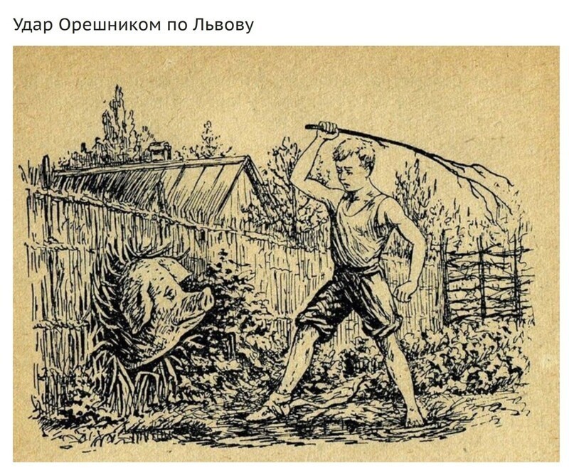 Политика , политика и лишь о ней