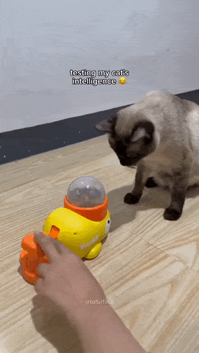 Просто гифки, всякие и&nbsp;разные