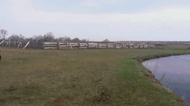 Просто гифки, всякие и&nbsp;разные