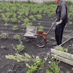 Просто гифки, всякие и&nbsp;разные