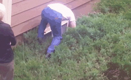 Просто гифки, всякие и&nbsp;разные