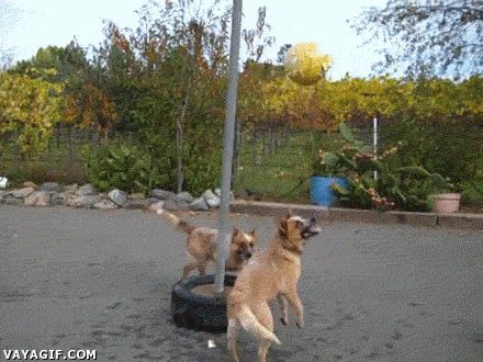 Просто гифки, всякие и&nbsp;разные