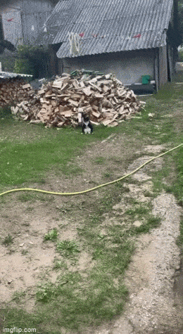 Просто гифки, всякие и&nbsp;разные