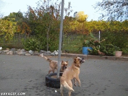 Просто гифки, всякие и&nbsp;разные