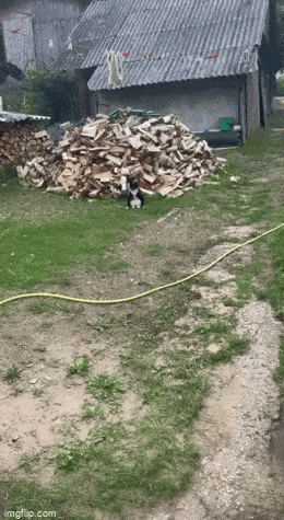 Просто гифки, всякие и&nbsp;разные