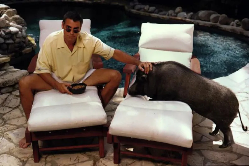 4. Джордж Клуни и свинья Макс