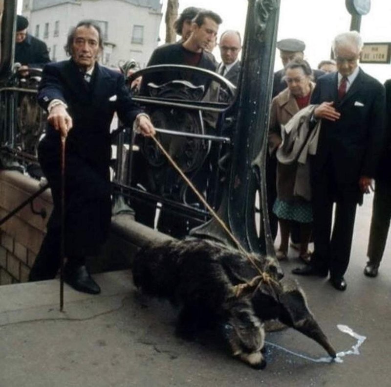 2. Сальвадор Дали и муравьед