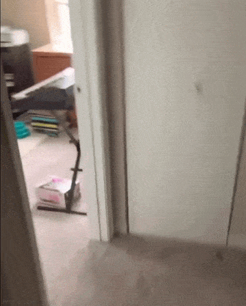 Просто гифки, всякие и&nbsp;разные