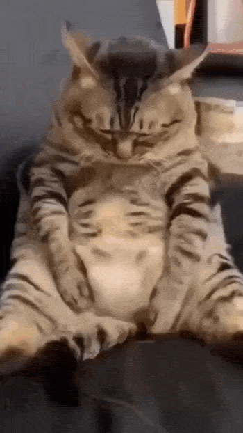 Просто гифки, всякие и&nbsp;разные