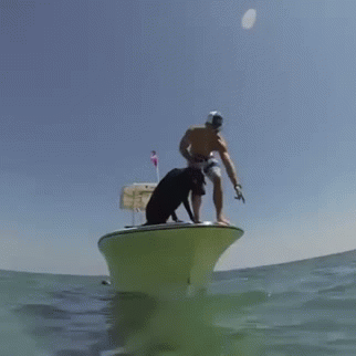 Просто гифки, всякие и&nbsp;разные