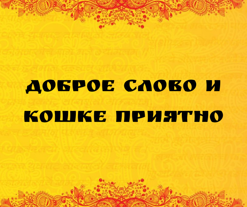Высказанные с симпатией утверждения вызывают положительный эмоциональный эффект даже у некоторых хищников, в том числе одомашненных