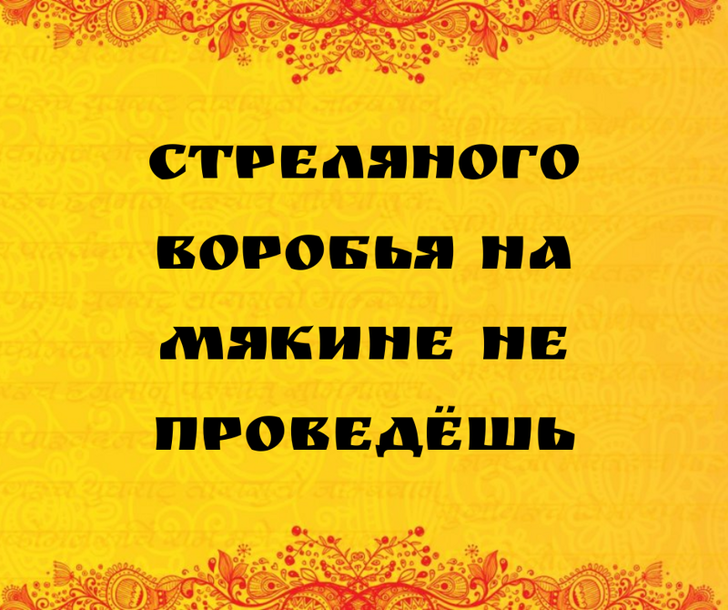 Практически невозможно обмануть представителя ткачиковых, побывавшего в артиллерийском бою, при помощи части отходов сельскохозяйственного земледельческого производства