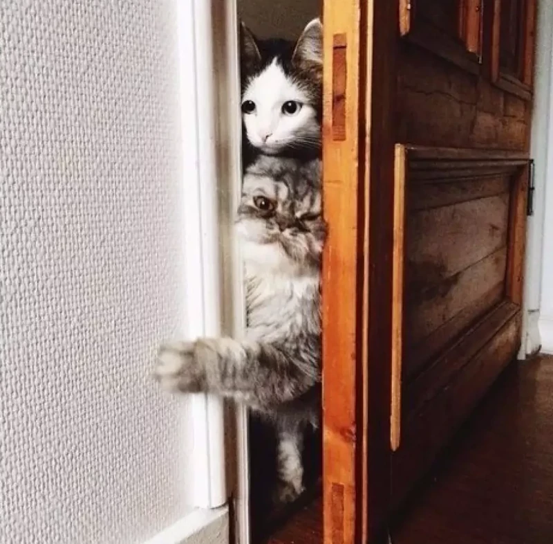 18. Ужасно неизвестно всё то, что интересно