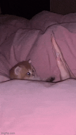 Просто гифки, всякие и&nbsp;разные