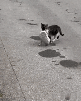 Просто гифки, всякие и&nbsp;разные