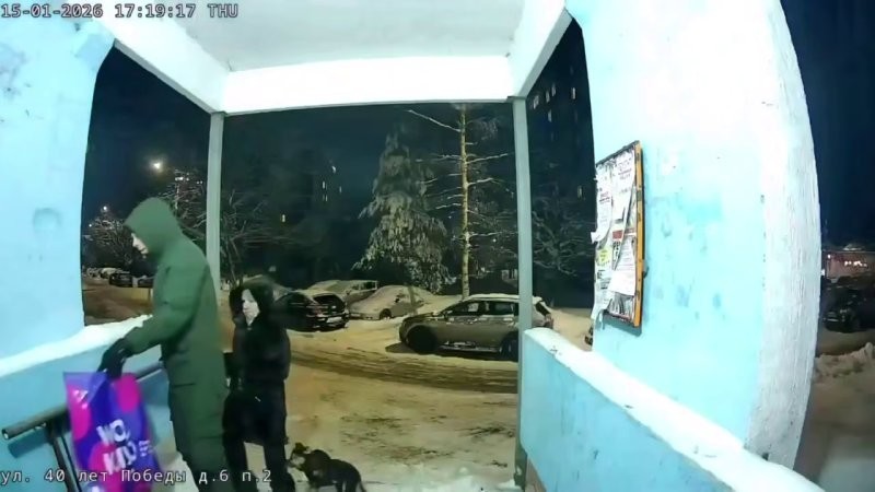 «Сваливаем, ты была хорошая»: хозяева привязали щенка у подъезда и оставили на морозе в Нижнем Новгороде