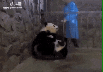 Просто гифки, всякие и&nbsp;разные