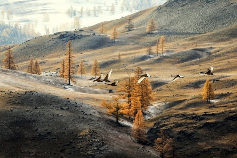 Andrey Ershov