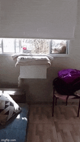 Просто гифки, всякие и&nbsp;разные