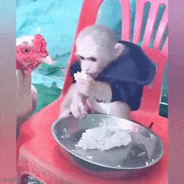 Просто гифки, всякие и&nbsp;разные