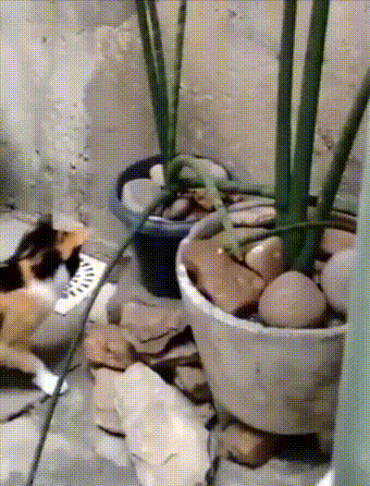 Просто гифки, всякие и&nbsp;разные