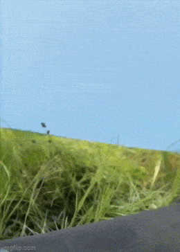 Просто гифки, всякие и&nbsp;разные