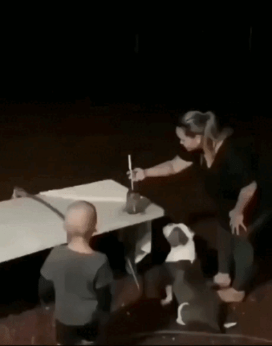 Просто гифки, всякие и&nbsp;разные