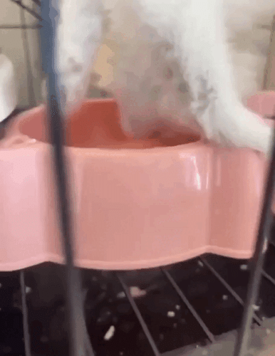 Просто гифки, всякие и&nbsp;разные