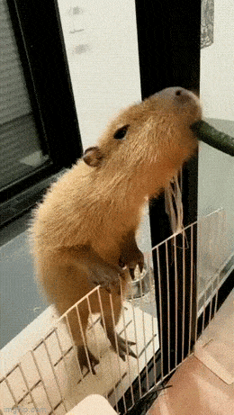 Просто гифки, всякие и&nbsp;разные