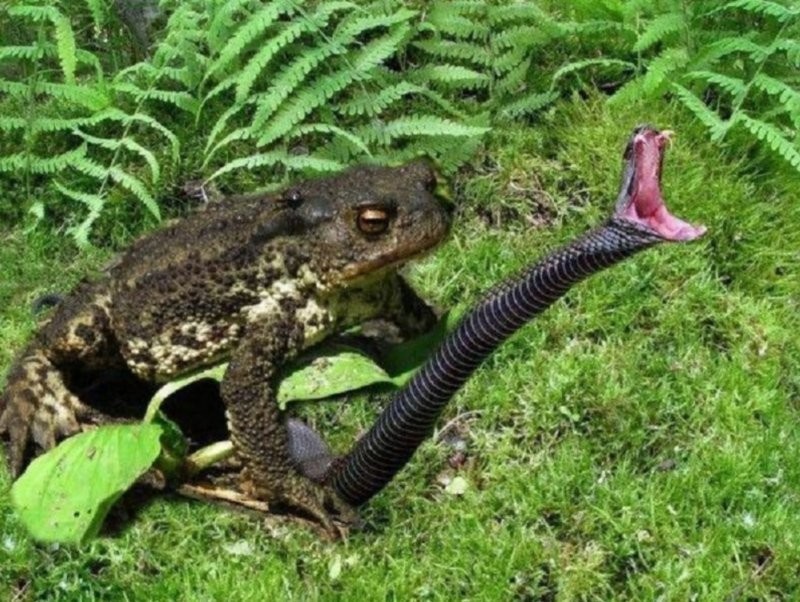 Ну вы поняли...