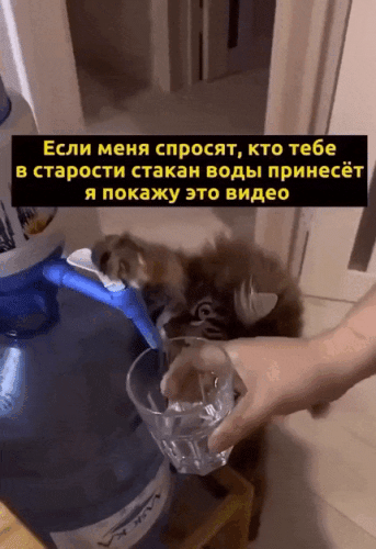 Просто гифки, всякие и&nbsp;разные