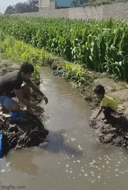 Просто гифки, всякие и&nbsp;разные