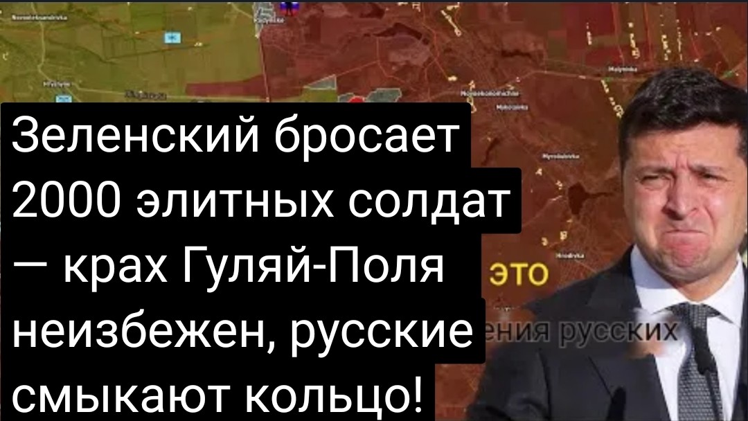 Трупный запах до обморока: Зеленский бросил горы тел боевиков у Гуляйполя
