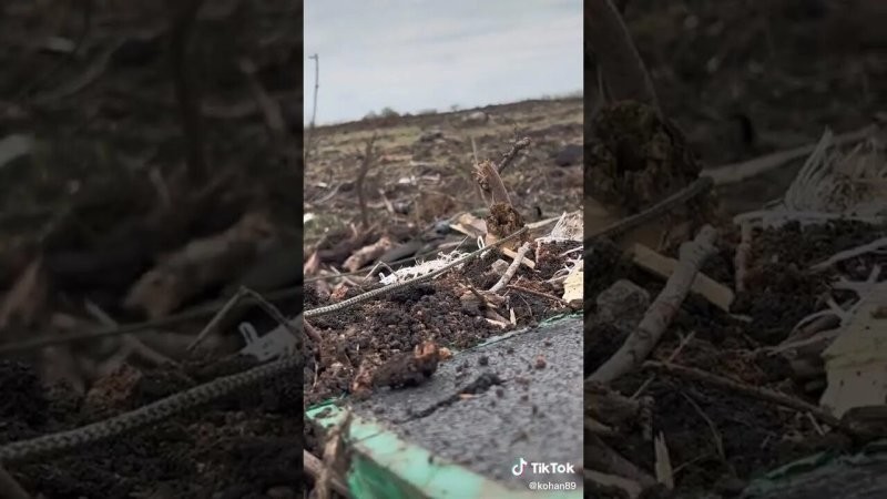 Трупный запах до обморока: Зеленский бросил горы тел боевиков у Гуляйполя