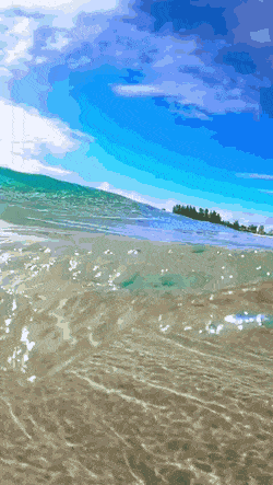 Просто гифки, всякие и&nbsp;разные