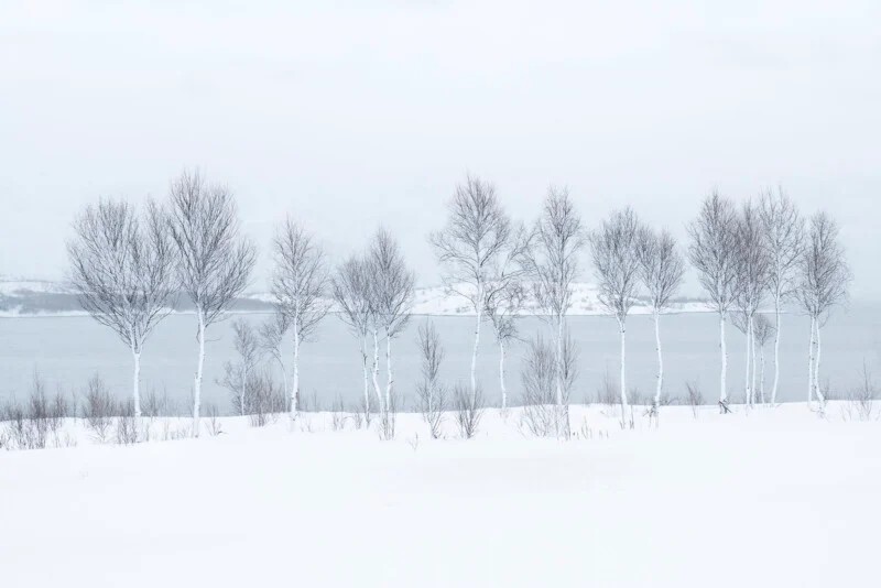 ‘Winter Meditations’ by J. Fritz Rumpf.