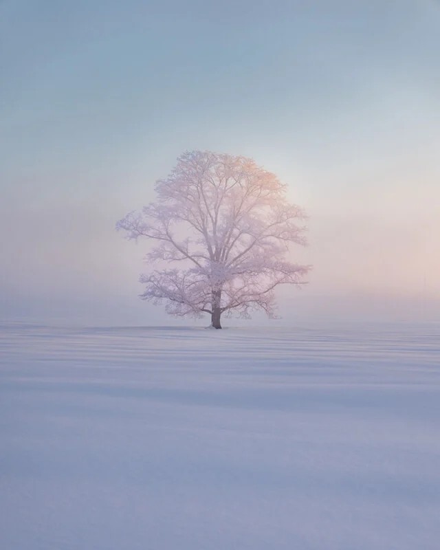 Winner of the Snow and Ice award. Kung-Fu Li