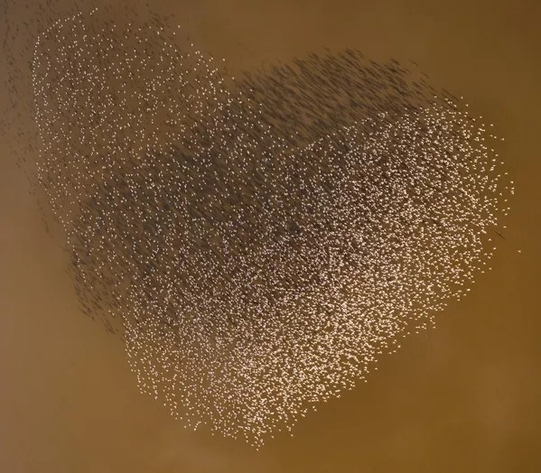 The Inaugural International Aerial Photographer of the Year 2025