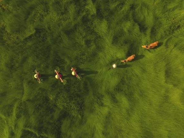 The Inaugural International Aerial Photographer of the Year 2025